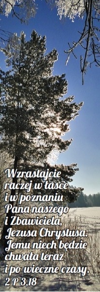 Zakładka laminowana