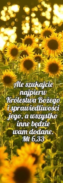 Zakładka laminowana