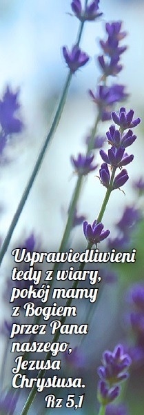 Zakladka laminowana