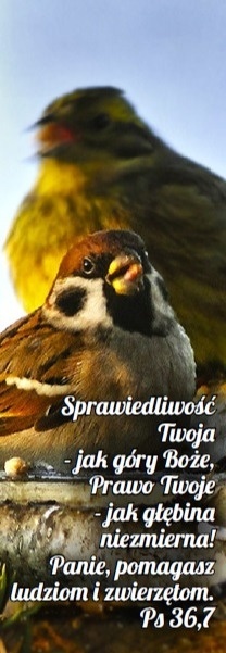 Zakładka laminowana