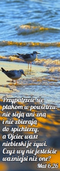 Zakładka laminowana