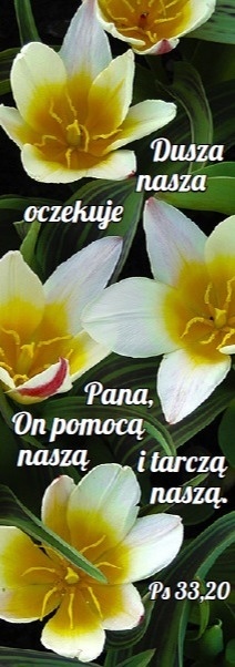 Zakładka laminowana