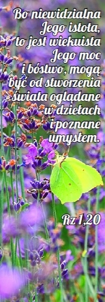 Zakładka laminowana