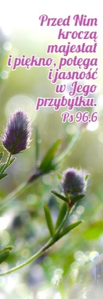 Zakładka laminowana
