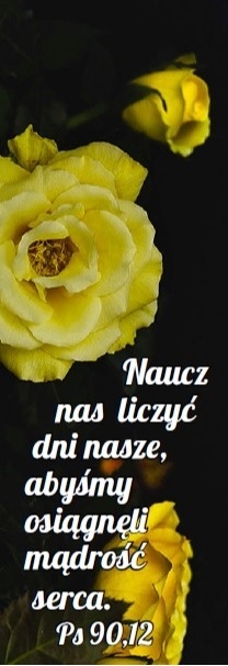 Zakładka laminowana